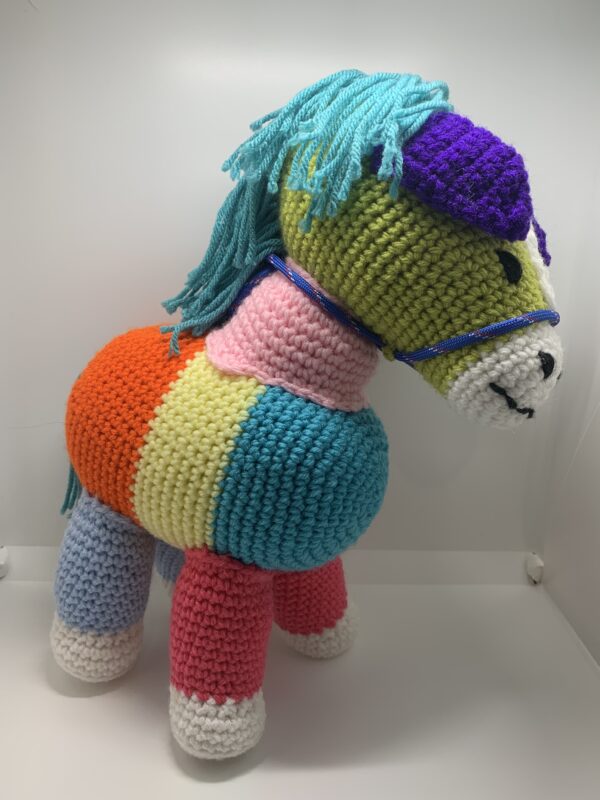 Bingo the Colored Horse